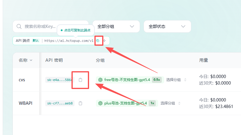 Copy API endpoint and Key from HCAI